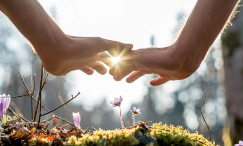 Zwei Hände beschützen eine kleine Blume im Wald.